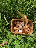 Farm Fresh Eggs | 1 Dozen