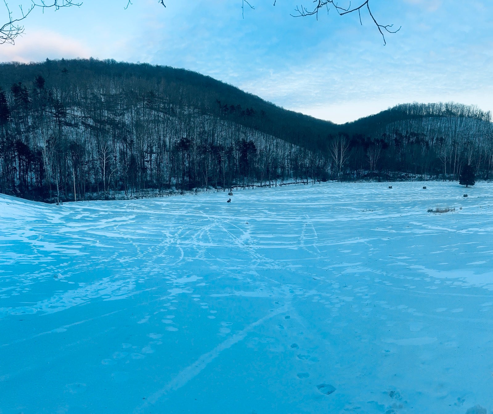 Winter Lift Basecamp Blend  -  1 LB